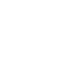 bolt icon