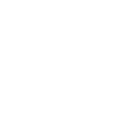 bulb icon