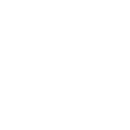 download icon