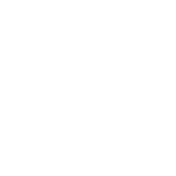 heart icon