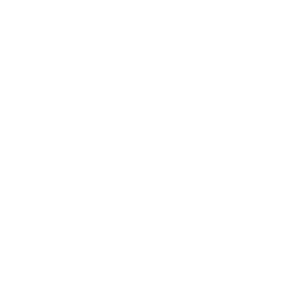 map icon