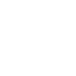 zoom icon