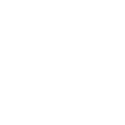 magnifier icon