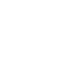 pin icon