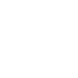 players icon