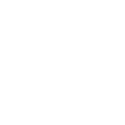 puzzle icon