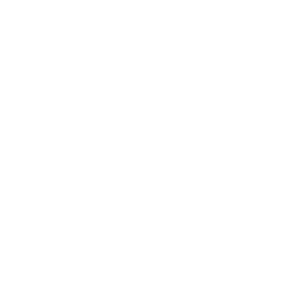 replay icon