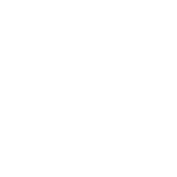 timer icon